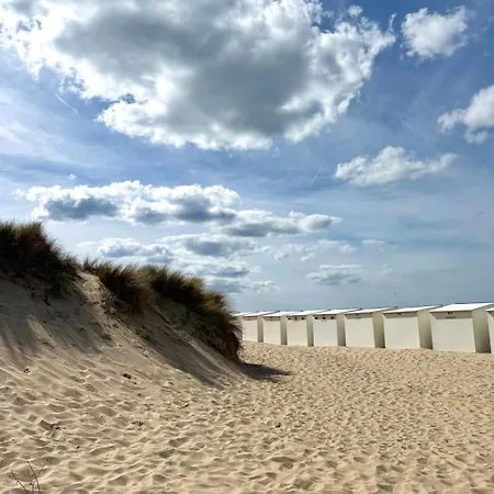 Julia's Cocoon, Sint-idesbald